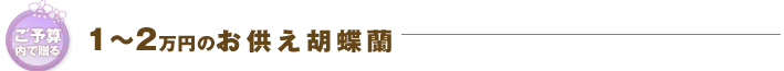 ご予算で贈る2万円以内