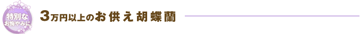 ご予算で贈る2万円以内