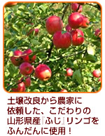 完熟アップルパイ｜土壌改良から農家に依頼したこだわりの山形県産　ふじりんごをふんだんに使用！