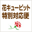 花キューピット特別対応便|母の日特集