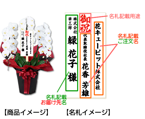 お祝い用胡蝶蘭 名札について