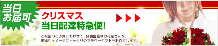 2009 クリスマス特集INDEX