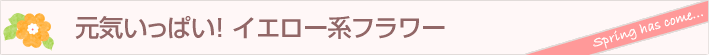 まだまだあります、この季節に人気の鉢物。