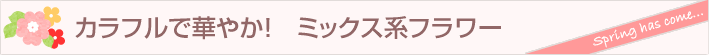 まだまだあります、この季節に人気の鉢物。
