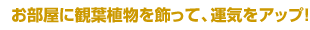 日本の中でもよりすぐりの生産者から、品質、鮮度の高い商品を産地直送でお届けいたします。