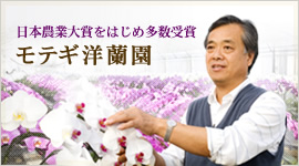 モテギ洋蘭園