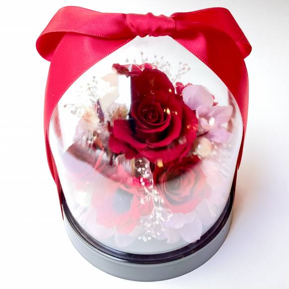 ローズドーム レッド【P-240】一般カテゴリー