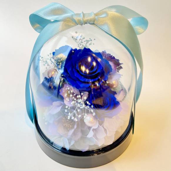 ローズドーム ブルー【P-243】一般カテゴリー