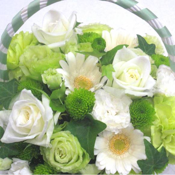 一般カテゴリー,《Flower arrangement》Green Ribbon Basket,花樹園