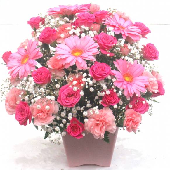 《Flower arrangement》Pinky Gerbera一般カテゴリー
