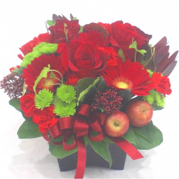 《Flower arrangement》Red Poise一般カテゴリー