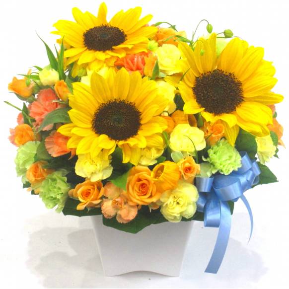 《Flower arrangement》Sunflower Blue Ribbon一般カテゴリー