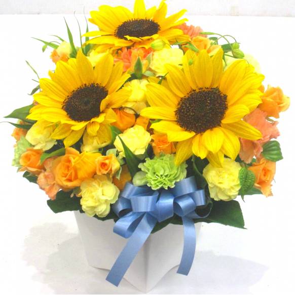 一般カテゴリー,《Flower arrangement》Sunflower Blue Ribbon,花樹園