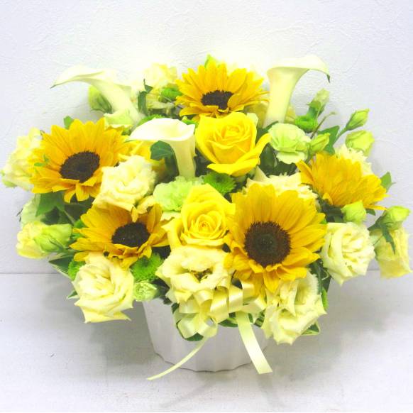 《Flower arrangement》Lemon Yellow一般カテゴリー