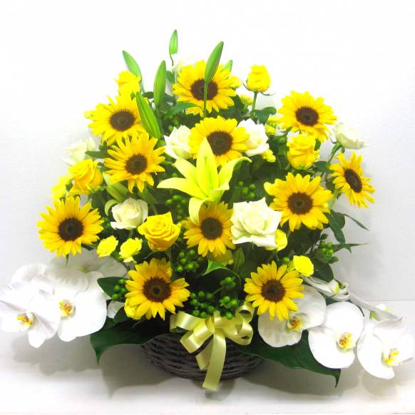 《Flower arrangement》Blessed Sunflower一般カテゴリー