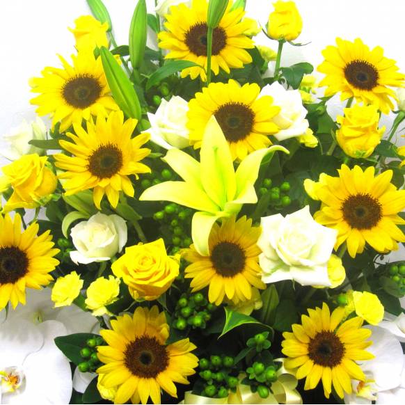 一般カテゴリー,《Flower arrangement》Blessed Sunflower,花樹園