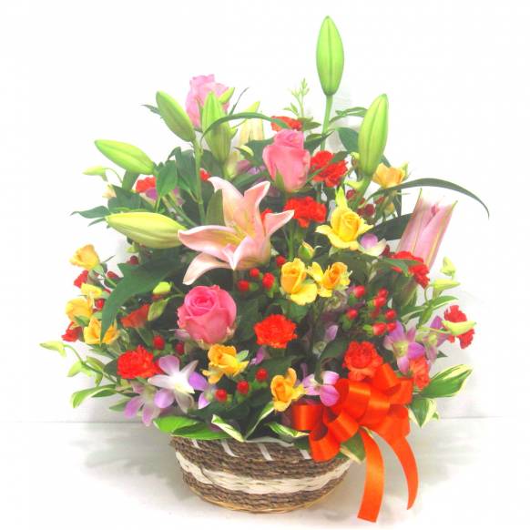 《Flower arrangement》Celebration一般カテゴリー