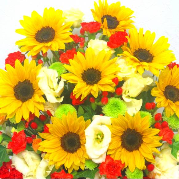 一般カテゴリー,《Flower arrangement》Sunflower Anniversary,花樹園