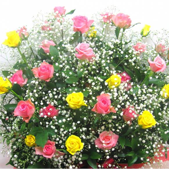 一般カテゴリー,《Flower arrangement》Big Colorful Rose,花樹園