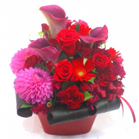 《Flower arrangement》Red Thread一般カテゴリー