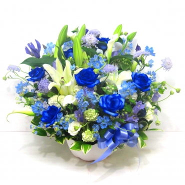 《Flower arrangement》The Blue Breeze一般カテゴリー