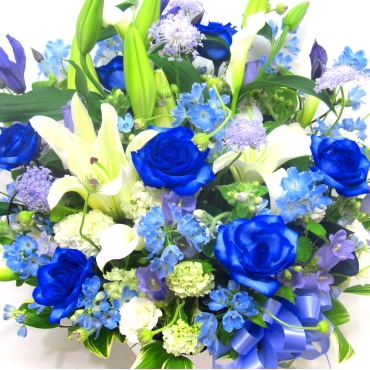 一般カテゴリー,《Flower arrangement》The Blue Breeze,花樹園
