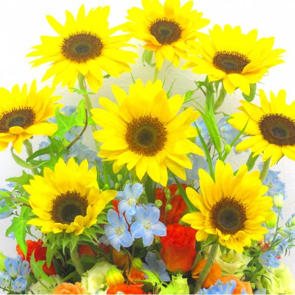 一般カテゴリー,《Flower arrangement》Sunflower Parasol,花樹園