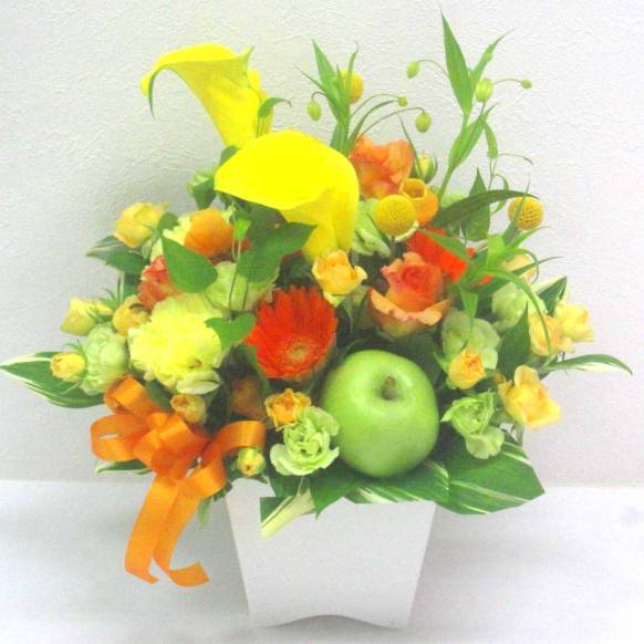 《Flower arrangement》Fine Color一般カテゴリー