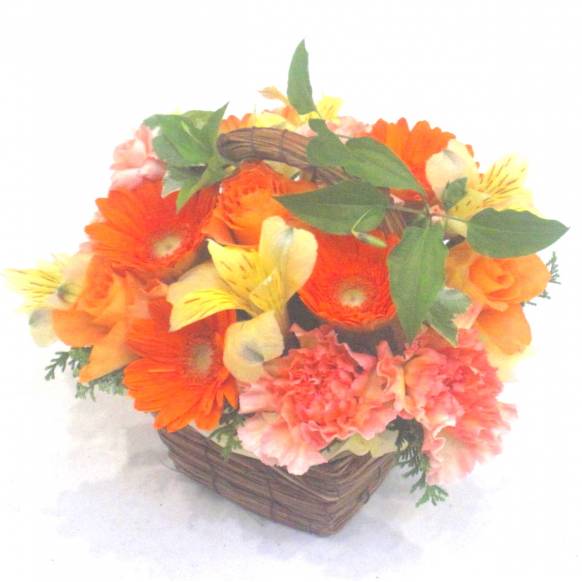 《Flower arrangement》Fine Orange一般カテゴリー