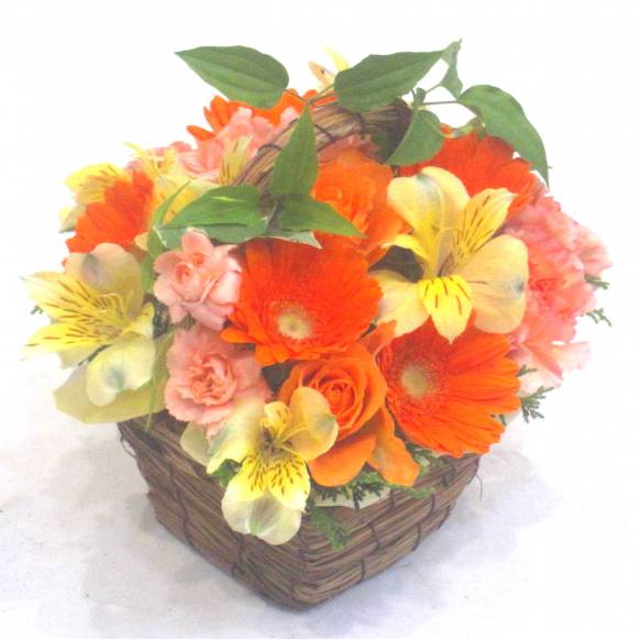 一般カテゴリー,《Flower arrangement》Fine Orange,花樹園