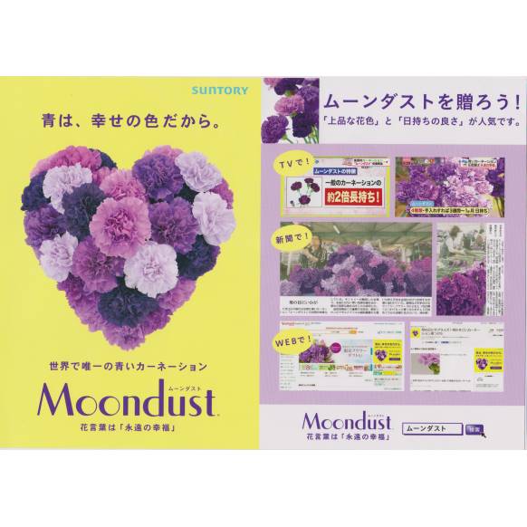 一般カテゴリー,《Funal arrangement》Luxury Purple,花樹園
