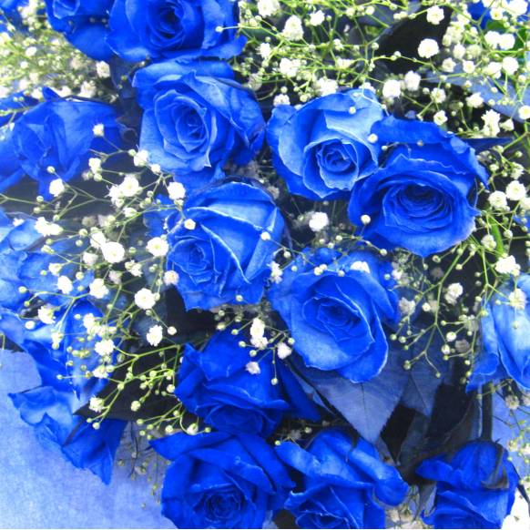 一般カテゴリー,《Bouquet》Blue Rose 20 & Kasumi grass,花樹園