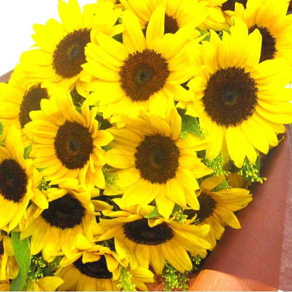 一般カテゴリー,《Bouquet》Sunflower 20,花樹園
