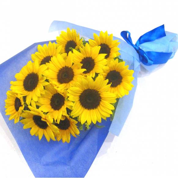 《Bouquet》Dasun Sunflower 12 一般カテゴリー