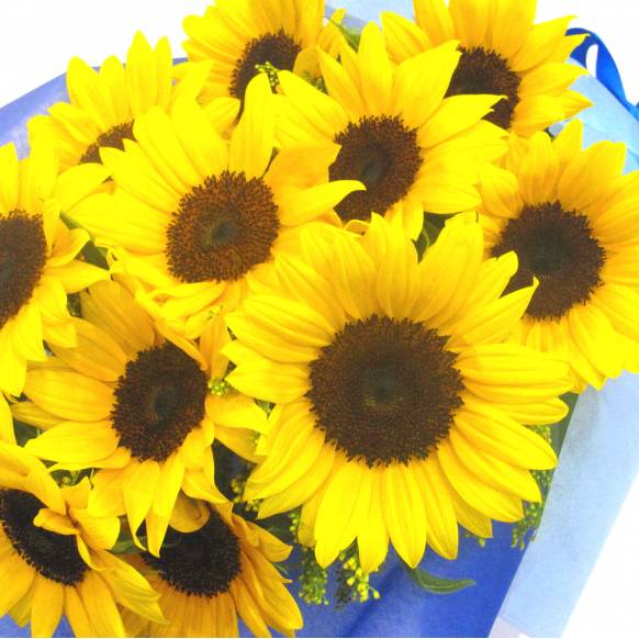 一般カテゴリー,《Bouquet》Dasun Sunflower 12 ,花樹園