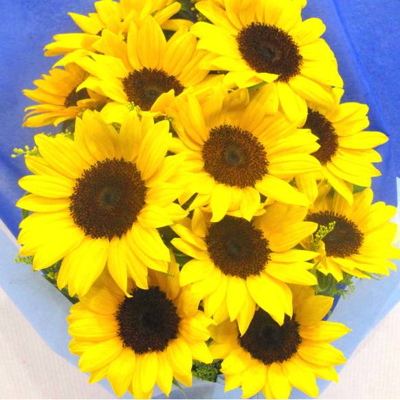 一般カテゴリー,《Bouquet》Dasun Sunflower 12 ,花樹園