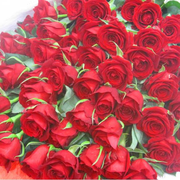 一般カテゴリー,《Bouquet》Premium Red Rose 70,花樹園
