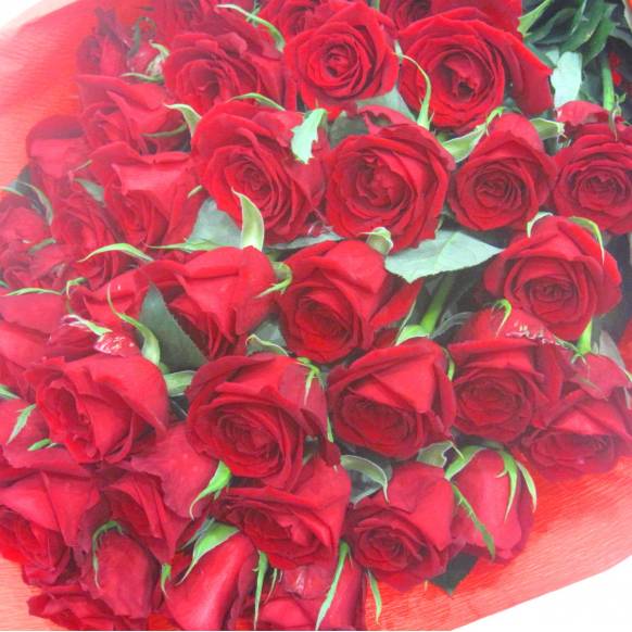 一般カテゴリー,《Bouquet》Premium Red Rose 40,花樹園