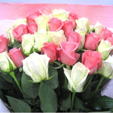 一般カテゴリー,《Bouquet》Premium Pink Rose & White Rose,花樹園