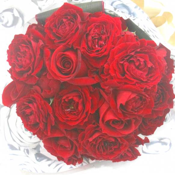 一般カテゴリー,《Bouquet》Premium Stylish Red Rose,花樹園