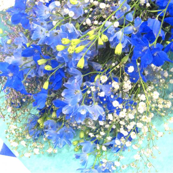 一般カテゴリー,《Bouquet》Qingming,花樹園