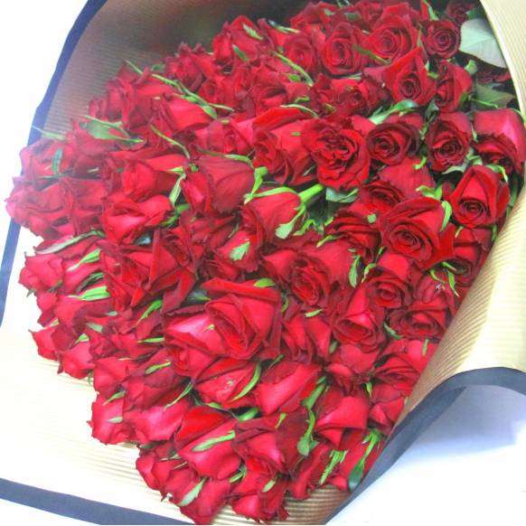 一般カテゴリー,《Bouquet》Proposal  Red Rose 108,花樹園