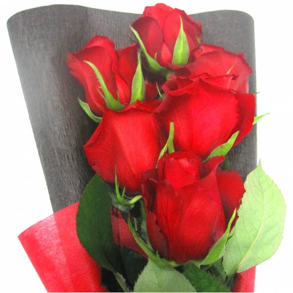 一般カテゴリー,《Bouquet》Premium Red Rose 6,花樹園