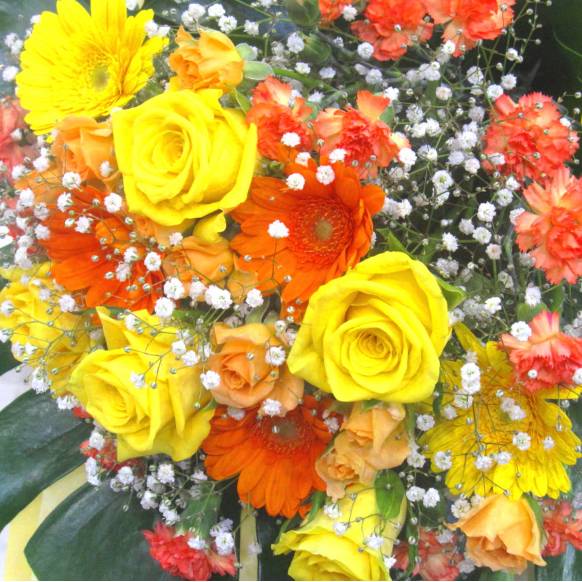 一般カテゴリー,《Bouquet》Impact Cheer color,花樹園