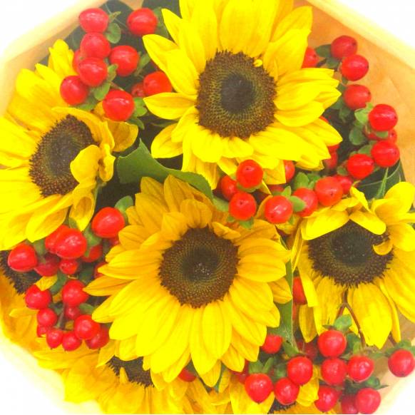 一般カテゴリー,《Bouquet》Happy Sunflower,花樹園