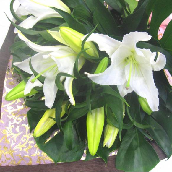 一般カテゴリー,《Bouquet》Luxury Lily Casablanca,花樹園