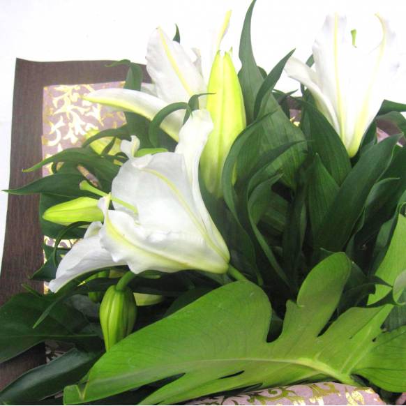 一般カテゴリー,《Bouquet》Luxury Lily Casablanca,花樹園