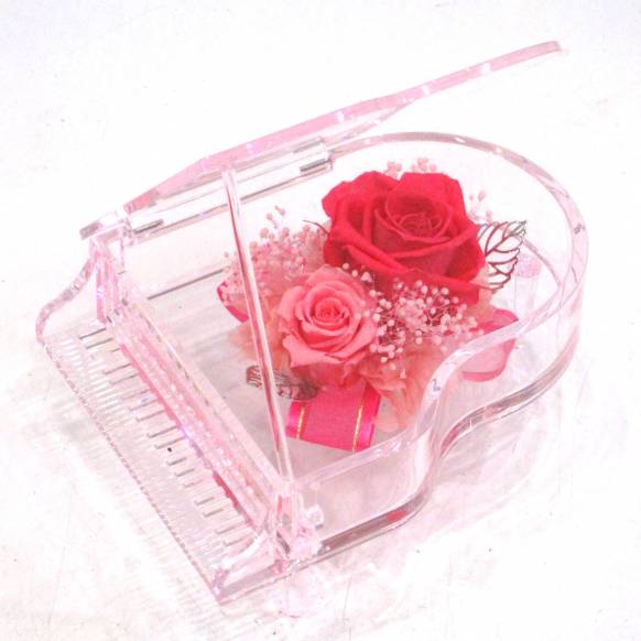 《Preserved Flower》Acrylic Piano (Hot Pink)一般カテゴリー