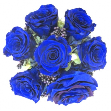 一般カテゴリー,《Preserved Flower》Blue Diamond,花樹園