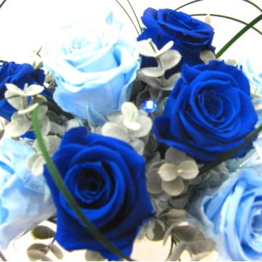 一般カテゴリー,《Preserved Flower》Premium Blue,花樹園